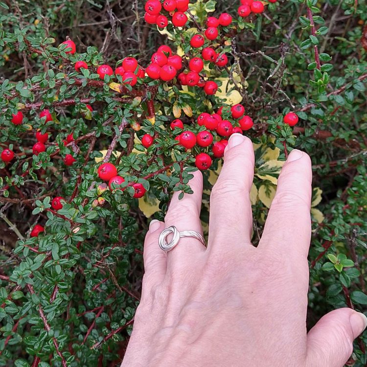 Silver Modern-Rose-ring-with-double-shank - worn on ring finger for scale - against green foliage and red berries